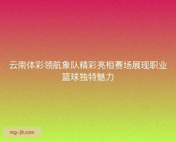 云南体彩领航象队精彩亮相赛场展现职业篮球独特魅力